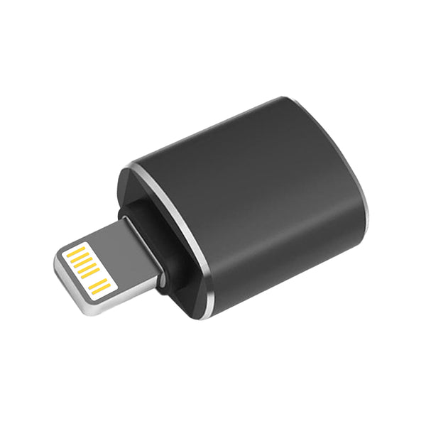 APPLE ADAPTER